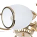 Люстра Brille Флористика 60W E14 Золотистый
