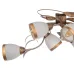Люстра Brille Флористика 60W E14 Коричневый Люстра Brille Флористика 60W E14 Коричневый