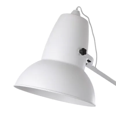 Торшер Настольная лампа Современный Brille 60W FLT-50