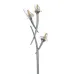 Торшер Флористика Brille 40W BR-01312