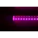 Лампа для растений линейная Brille Стекло 9W Бесцветный L137-008 Лампа для растений линейная Brille Стекло 9W Бесцветный L137-008