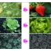 Фитолампа для растений Plant GrowLight светодиодная с таймером черная