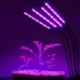 Фитолампа для растений Plant GrowLight светодиодная с таймером черная