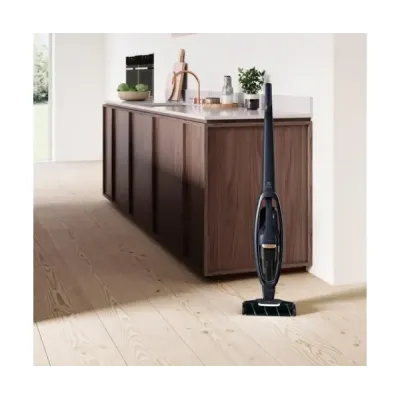 Вертикальный+ручной пылесос (2в1) Electrolux WQ71-P50IB