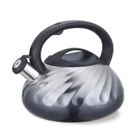 Чайник нержавеющей стали 3 л Maestro MR-1321 Grey