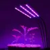 Фитолампа светодиодная для растений Plant GrowLight-3 с таймером черная Фитолампа светодиодная для растений Plant GrowLight-3 с таймером черная