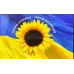 Монета No Brand Естонія 2 євро 2022 року Слава Україні 25 мм Золотистий (hub_nml523)