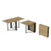 Стол-книжка трансформер Орион 2 Ferrum-decor 750x1520x730 Черный металл ДСП Дуб Артизан 16 мм (ORI206)