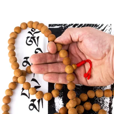 Чотки Боддхічітта з насіння дерева Зізіфус Ziziphus Budhensis Swayambhu ST світлі 13 мм (25999)