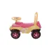 Игрушка детская толокар Doloni Toys 