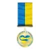 Медаль Collection Волонтеру-людині з великим серцем 40*44*3 мм Золотистий (hub_w1yjml)