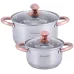 Набор 2 кастрюли Catalin 1.5л 3л из нержавеющей стали с мерной шкалой DP36500 Kamille