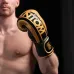 Боксерские перчатки Phantom APEX Elastic 16 унций Gold