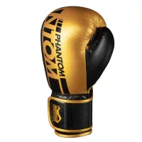 Боксерские перчатки Phantom APEX Elastic 16 унций Gold