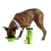 Бутылка для животных Snack-Duo для воды и корма со складной миской Green (3_03743) Бутылка для животных Snack-Duo для воды и корма со складной миской Green (3_03743)
