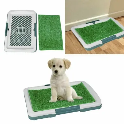 Туалет для собак з газоном Petsafe Puppy Potty Pets 47х34х6 см Білий з бірюзовим Туалет для собак з газоном Petsafe Puppy Potty Pets 47х34х6 см Білий з бірюзовим