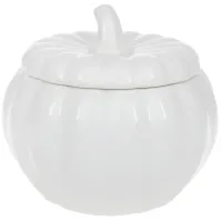 Фарфоровая банка White City Pumpkin 2л DP78806 BonaDi Фарфоровая банка White City Pumpkin 2л DP78806 BonaDi