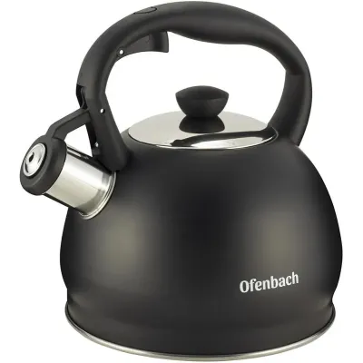 Чайник со свистком 2л черный матовый из нержавеющей стали DP97184 Ofenbach