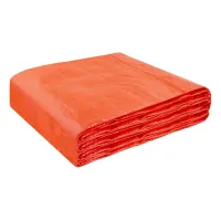 Тент MASTERTOOL 6х10 м 110 г/м² Orange (89-0610) Тент MASTERTOOL 6х10 м 110 г/м² Orange (89-0610)