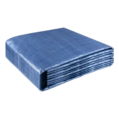 Тент ГОСПОДАР 6х8 м Blue (79-9608-В)
