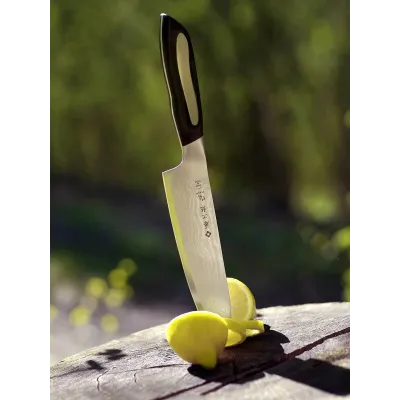Ніж кухонний Шеф 180 мм Tojiro Flash (FF-CH180)
