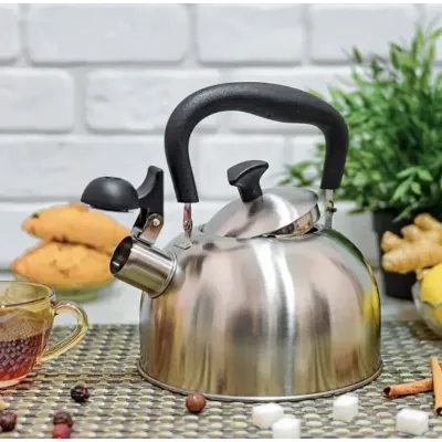 Чайник зі свистком A-PLUS 1373 2 л Steel