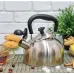 Чайник зі свистком A-PLUS 1373 2 л Steel