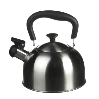 Чайник зі свистком A-PLUS 1373 2 л Steel