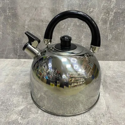 Чайник из нержавеющей стали 3,5 л A-Plus 1323