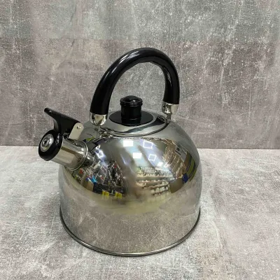 Чайник из нержавеющей стали 3,5 л A-Plus 1323