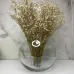 Ваза скляна 15,5 см Trendglass Sphere 35104 Ваза скляна 15,5 см Trendglass Sphere 35104