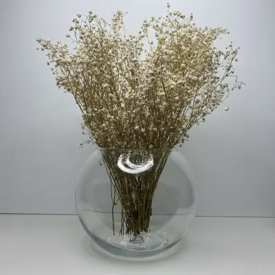 Ваза скляна 15,5 см Trendglass Sphere 35104 Ваза скляна 15,5 см Trendglass Sphere 35104