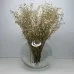 Ваза скляна 15,5 см Trendglass Sphere 35104 Ваза скляна 15,5 см Trendglass Sphere 35104