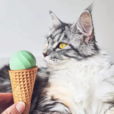 М'ячик для котів Cheerble Ice Cream Ball C0419-C Зелений