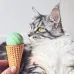 М'ячик для котів Cheerble Ice Cream Ball C0419-C Зелений