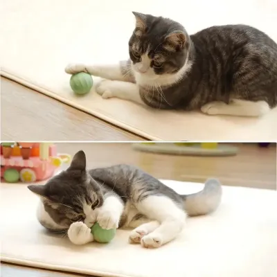 М'ячик для котів Cheerble Ice Cream Ball C0419-C Зелений
