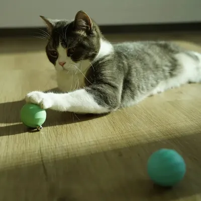 М'ячик для котів Cheerble Ice Cream Ball C0419-C Зелений