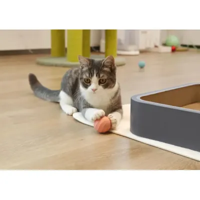 Мячик для котов Cheerble Ice Cream Ball C0419-C 45 мм Розовый Мячик для котов Cheerble Ice Cream Ball C0419-C 45 мм Розовый