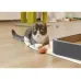 Мячик для котов Cheerble Ice Cream Ball C0419-C 45 мм Розовый Мячик для котов Cheerble Ice Cream Ball C0419-C 45 мм Розовый
