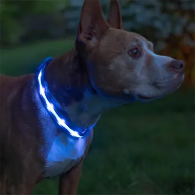 Світлодіодний No Brand Blue L LED нашийник USB