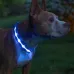 Світлодіодний No Brand Blue L LED нашийник USB