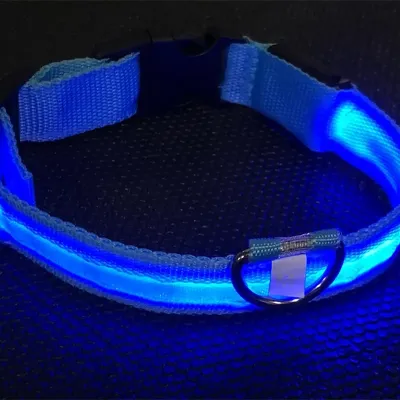 Світлодіодний No Brand Blue L LED нашийник USB