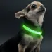 Светодиодный LED ошейник No Brand Green L USB