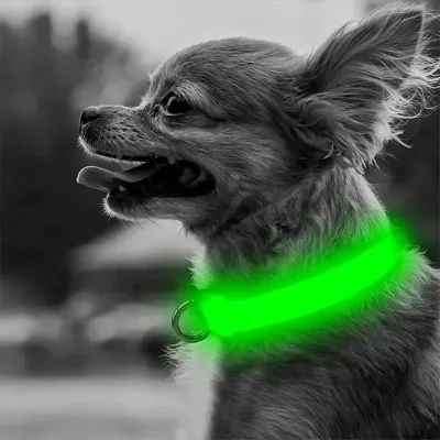 Светодиодный LED ошейник No Brand Green L USB