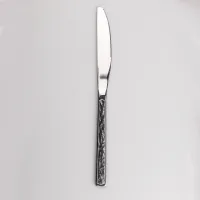 Набір TS Kitchen столових ножів 6 штук з нержавіючої сталі хром (HP96922) Набір TS Kitchen столових ножів 6 штук з нержавіючої сталі хром (HP96922)