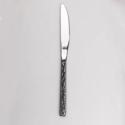 Набір TS Kitchen столових ножів 6 штук з нержавіючої сталі хром (HP96922)