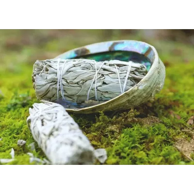 Калифорнийский белый шалфей Amber White Sage для окуривания пучок 10 см 30-40 г