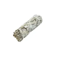 Каліфорнійська біла шавлія Amber White Sage для обкурювання пучок 10 см 30-40 г