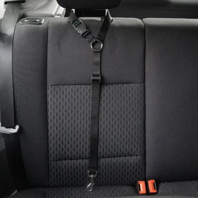 Автомобільний ремінь безпеки для собаки EasyTrip Black (542324961) Автомобільний ремінь безпеки для собаки EasyTrip Black (542324961)
