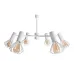 Люстра MSK Electric Diadem на шість плафонів NL 22152-6 WH